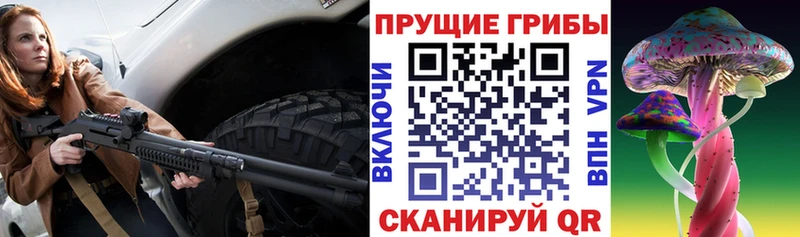 Галлюциногенные грибы мицелий  Петровск-Забайкальский 